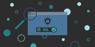 daily ocr blog preview image